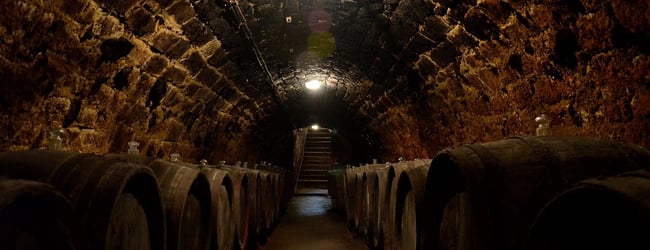 Wine of Hungary | Magyar Bor