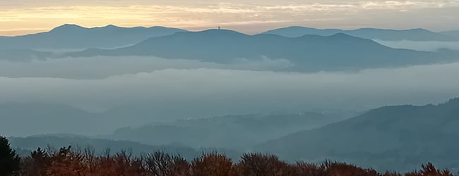 Ubytování a wellness v Českém  lese