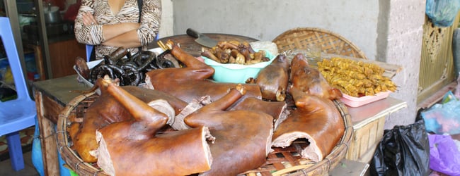 World's Scariest Food
