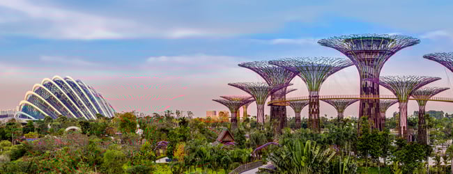 Gardens by the Bay Singapore
