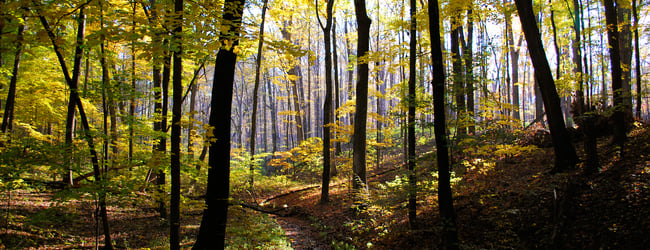 There's Treasure Inside - Search Reports