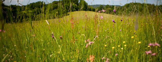 Valašské Klobucko