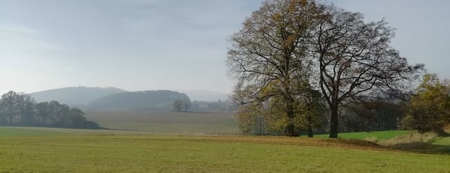 Křížky a kapličky