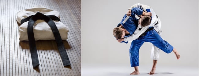 The Official Judo World Map