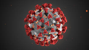 Koronavirus.report