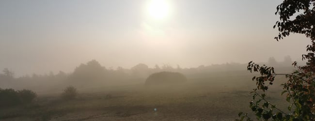 NaTur i Byen - mulige steder