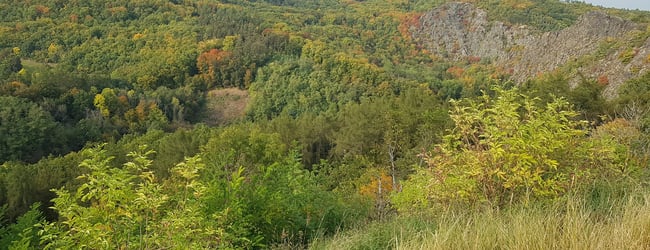 Botanická mapa - Divoká Šárka