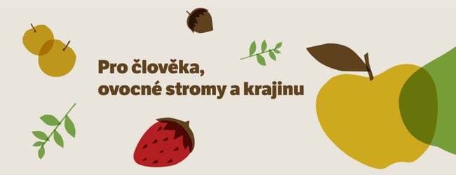 Na ovoce