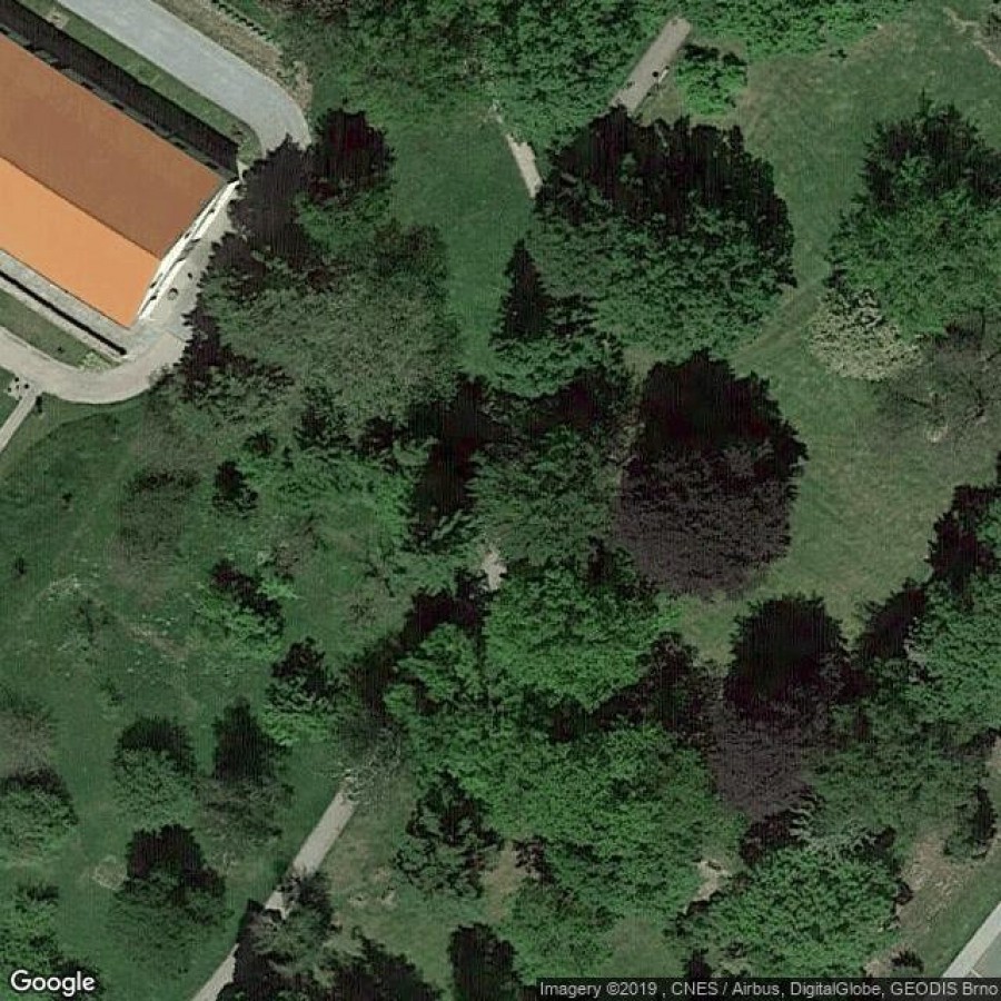 Město Rychnov nad Kněžnou - Tenis