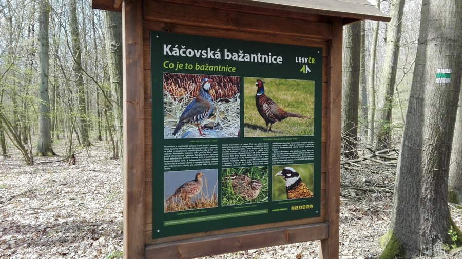 Káčov