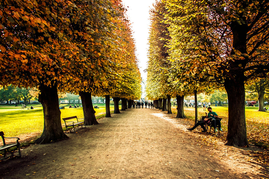 Kongens Have