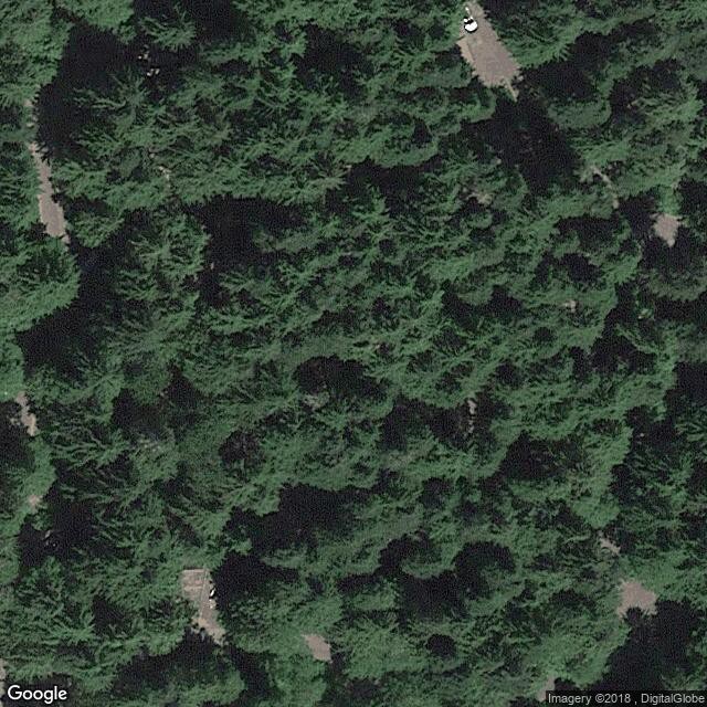 Denny Creek Campground