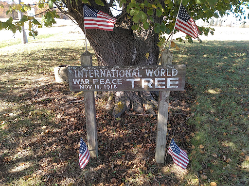 IN2 - Evansville | International World War Peace Tree