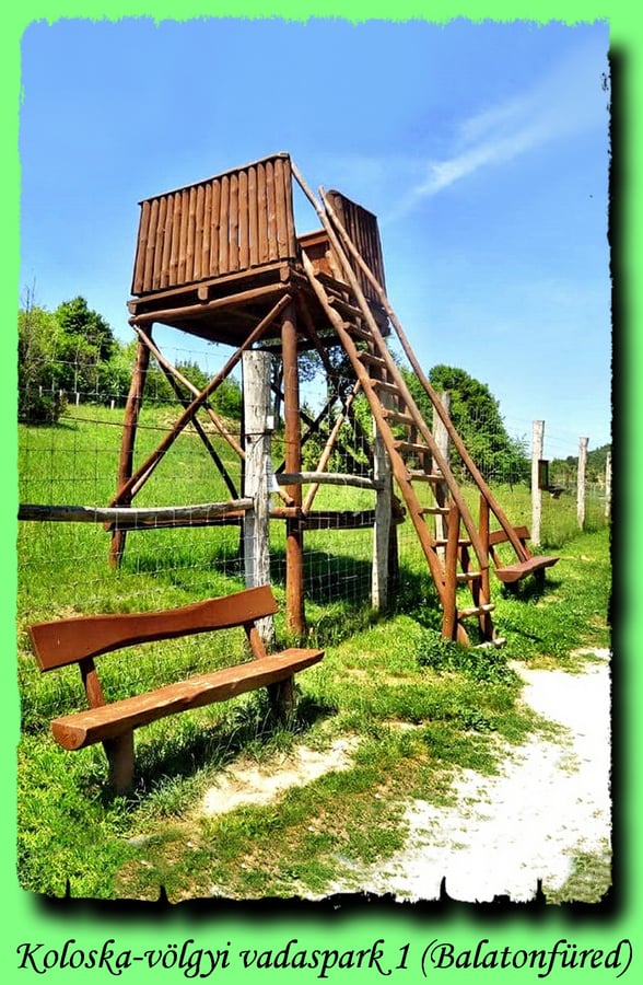 Balatonfüred - Koloska-völgyi vadaspark (1)
