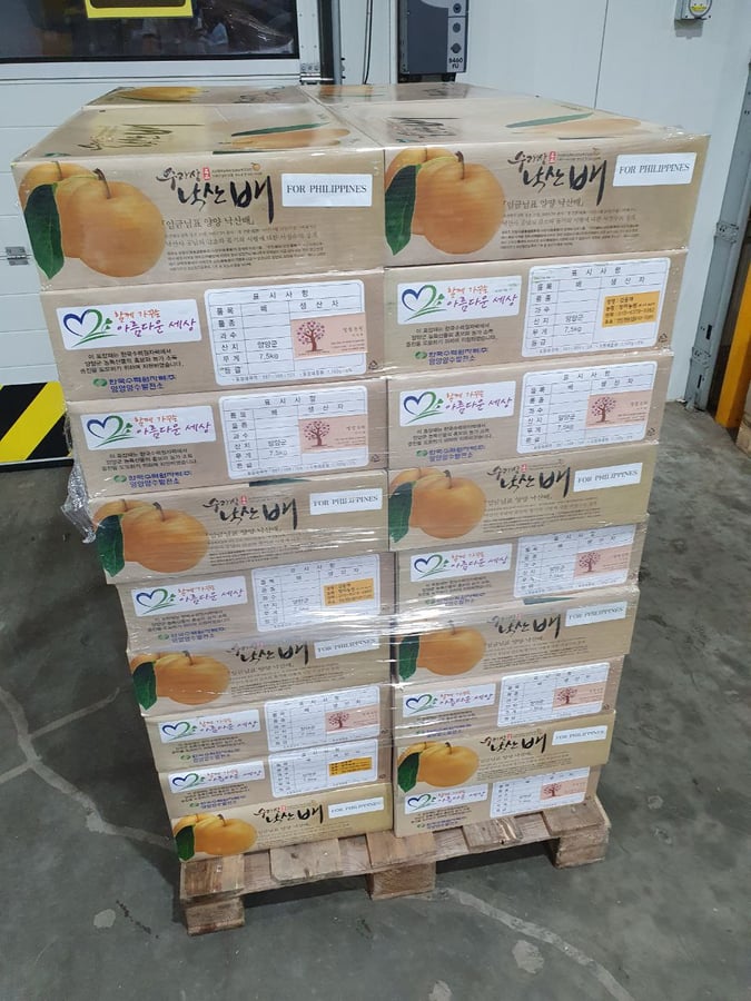 CONSOLACION POLICE STATION