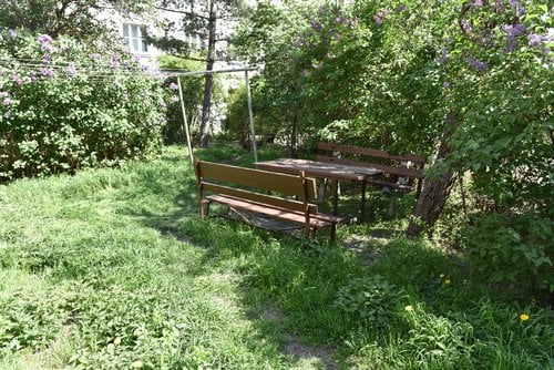 5. května