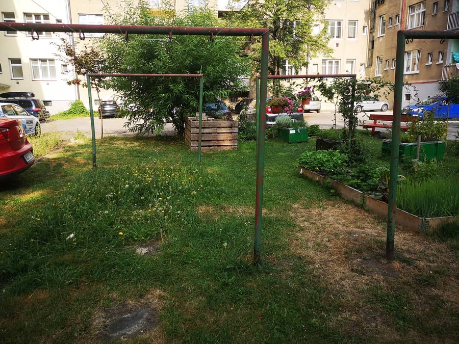 Roháče z Dubé