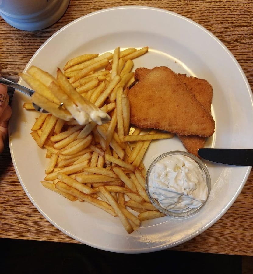 Máchova Plzeňská Restaurace