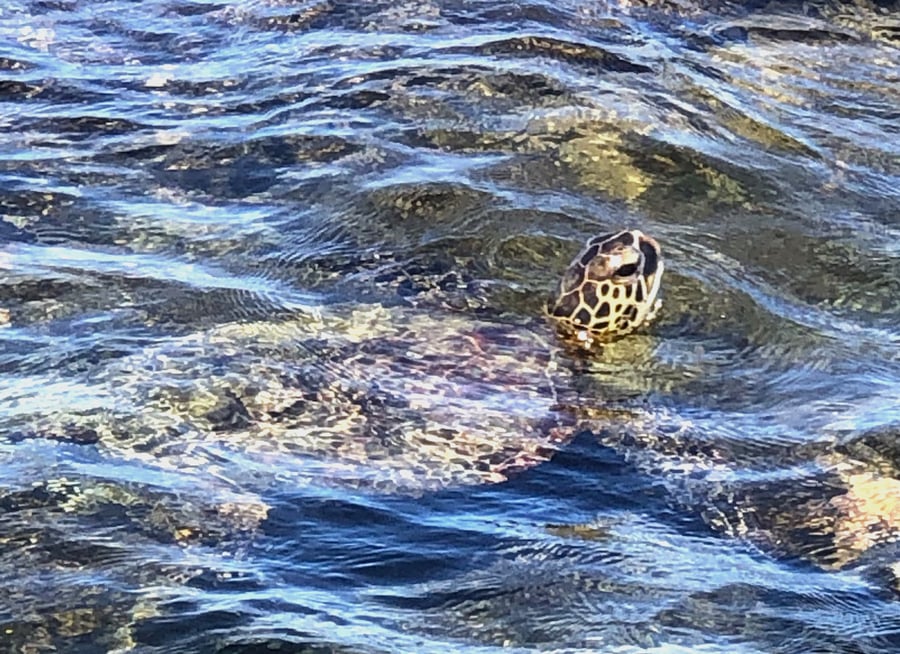 Holoholokai Beach Park