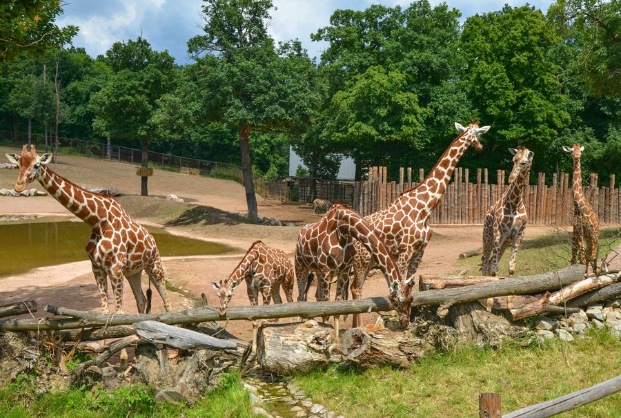 Zoo Brno