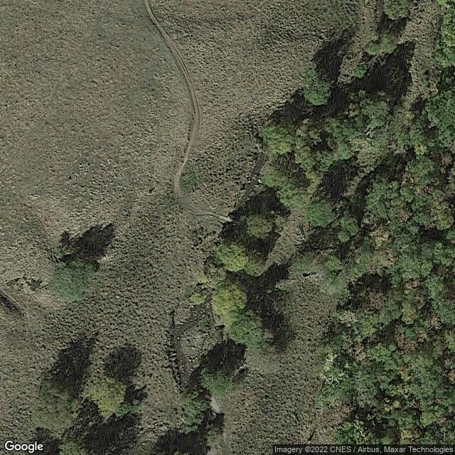 Passerelle de la Biche