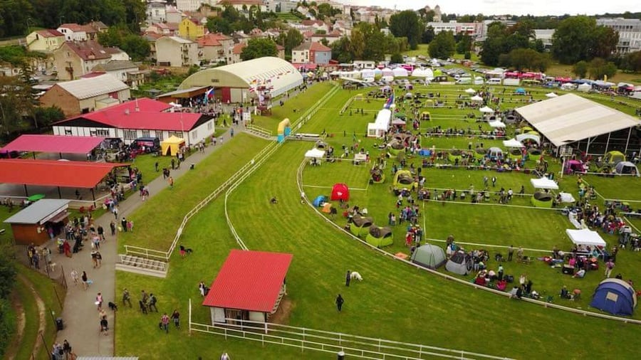 Interdog Bohemia - kynologický spolek
