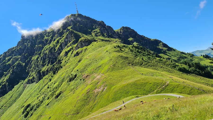 Hora Kitzbüheler Horn s lanovkou a restaurací 