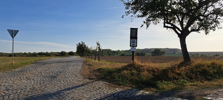 Exmoorský pony, Mašovice, Podyjí