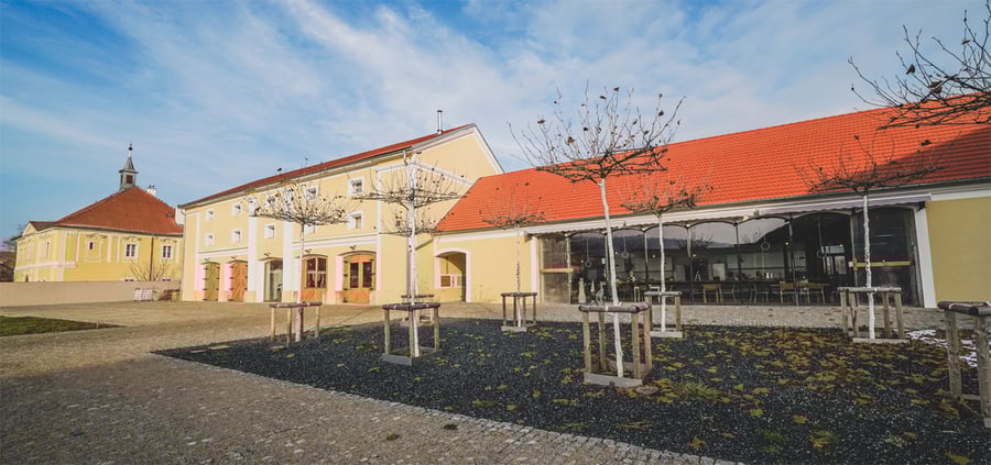 Pivovar Holanďan, Hlízov