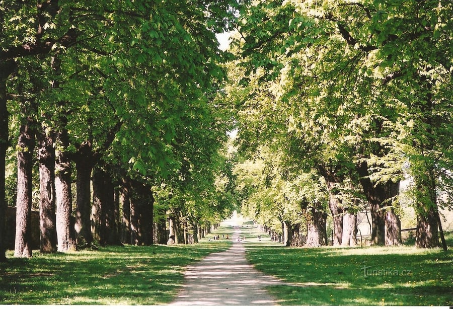Zámecký park Slavkov