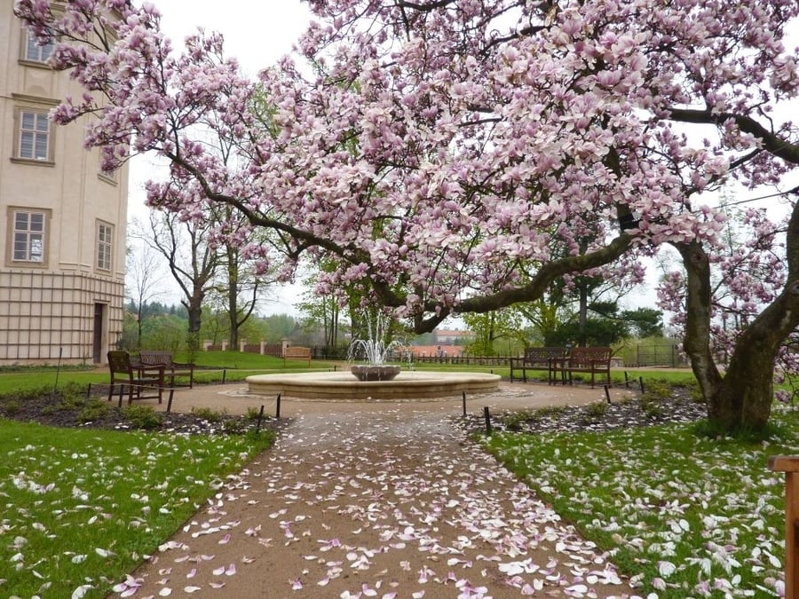 Zámecký park v Mníšku pod Brdy