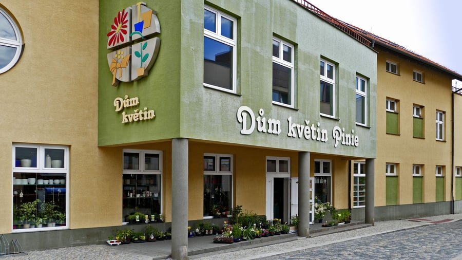 Dům květin Pinie Litovel