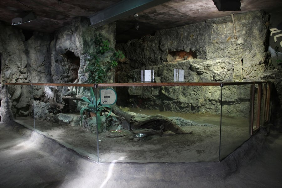 Expozice rajské ostrovy - Děčín