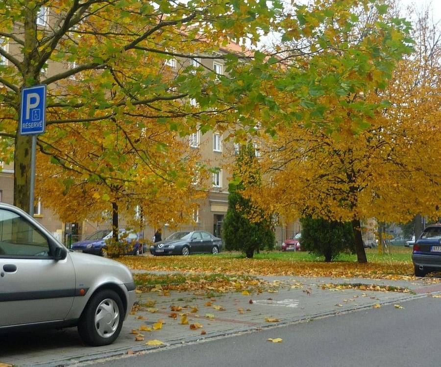 Vyhrazené parkoviště