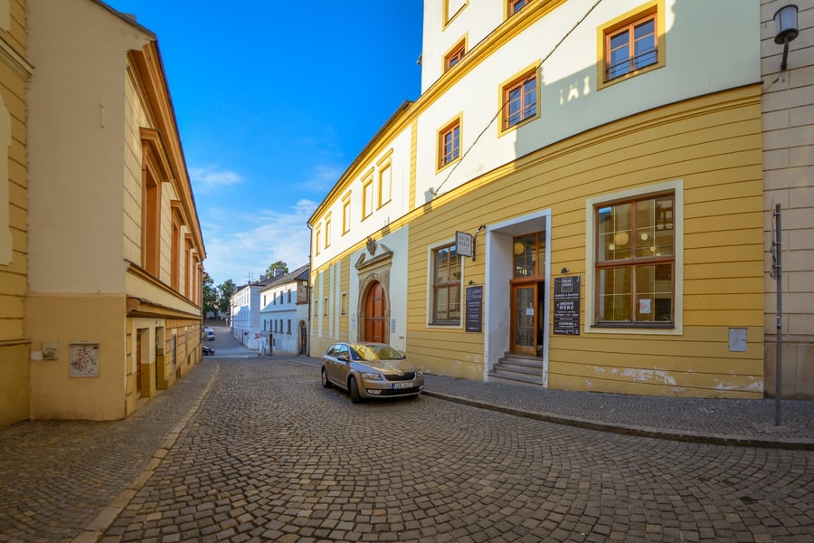 Bistrá kráva, bistro-kavárna 