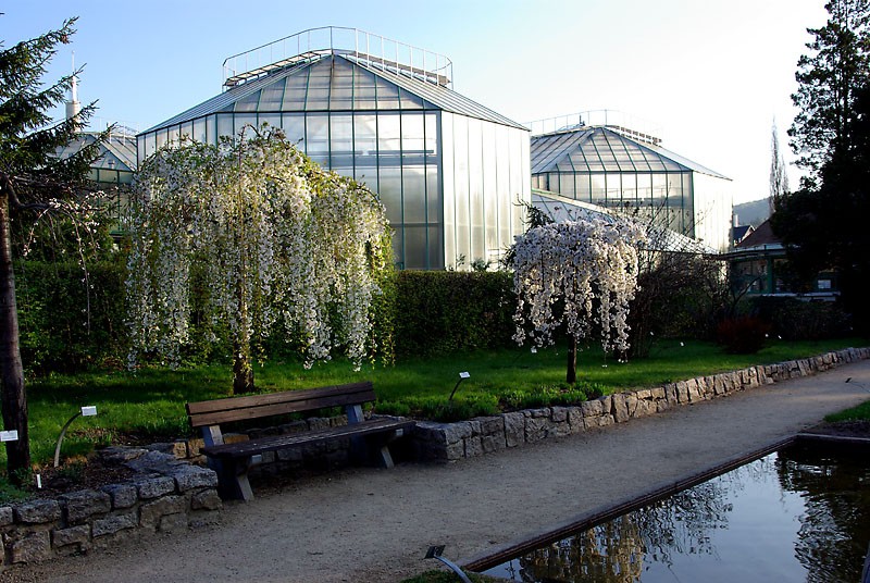 Botanická zahrada Liberec