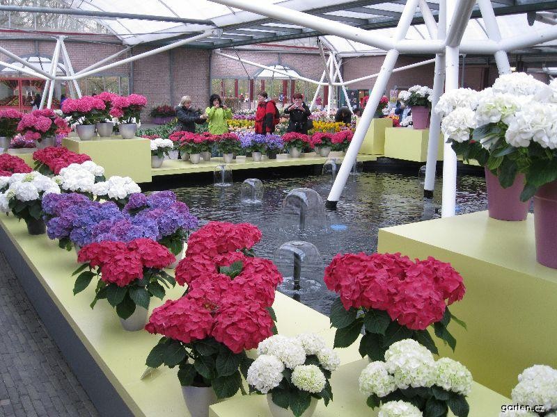 Keukenhof