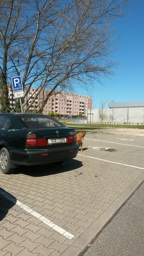 Parkoviště