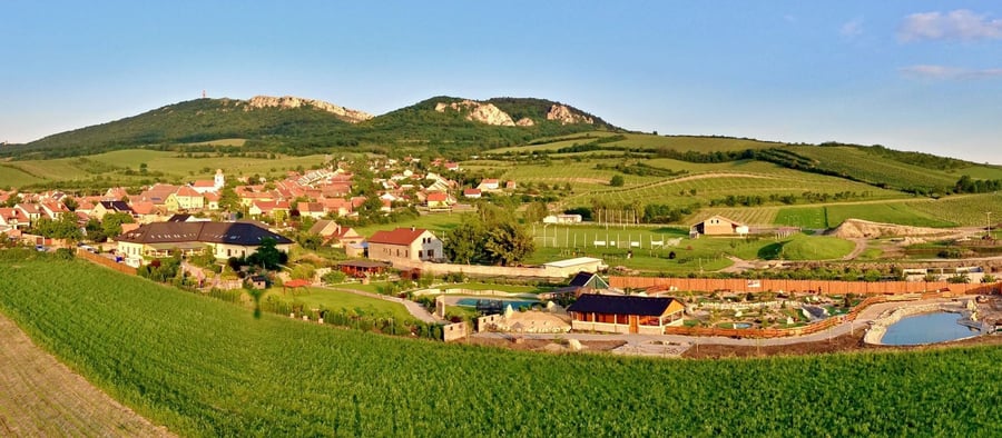 Restaurace Balloon Horní Věstonice