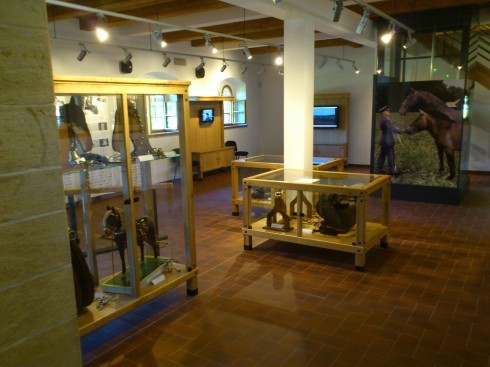 Muzeum starokladrubského koně