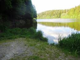 Rybářský revír 411 105 SEDLICKÝ POTOK 1