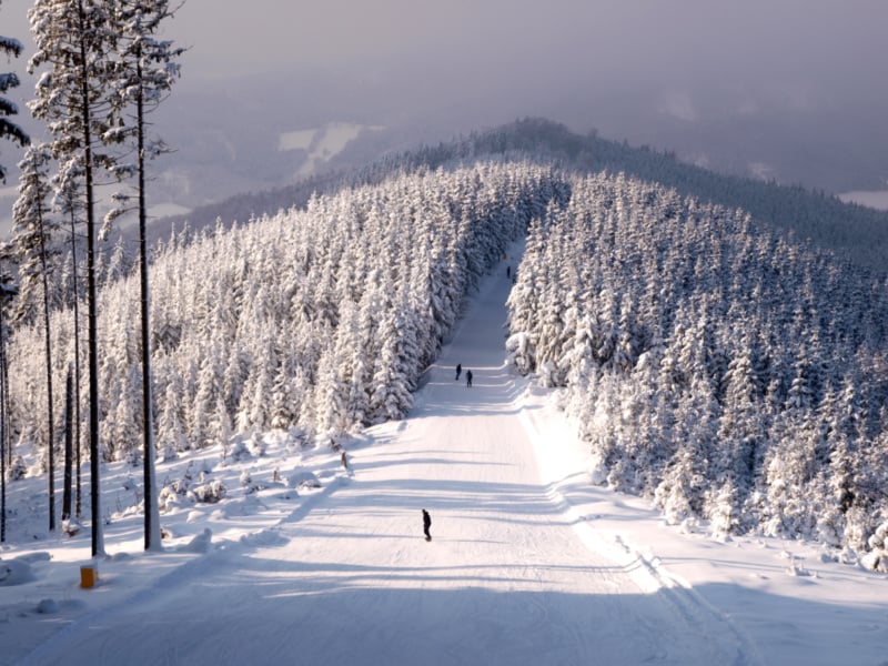 Ski areál Kouty nad Desnou