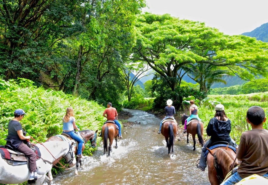 Horseback Riding at Equestrian Valley