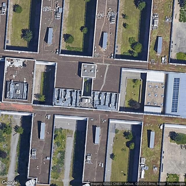 LF MUNI zuby