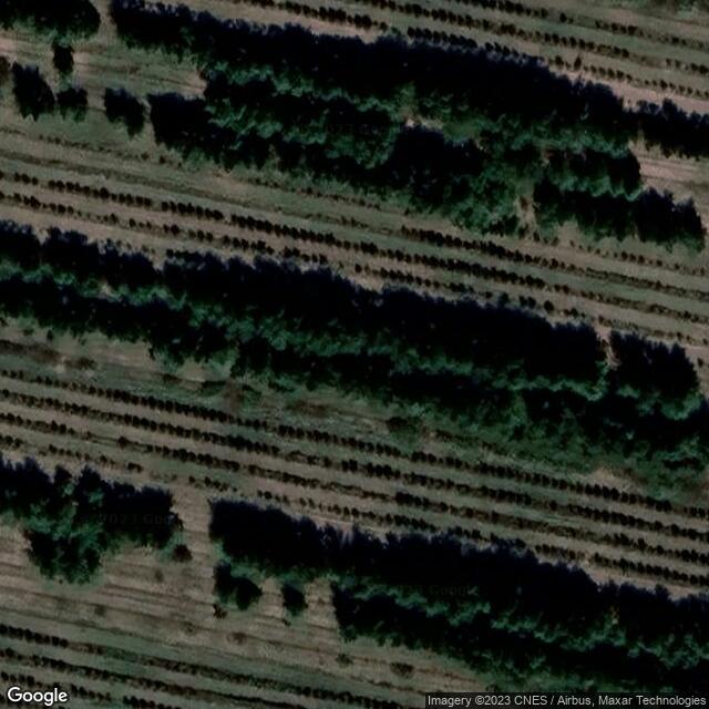 Ипподром "Казанат"