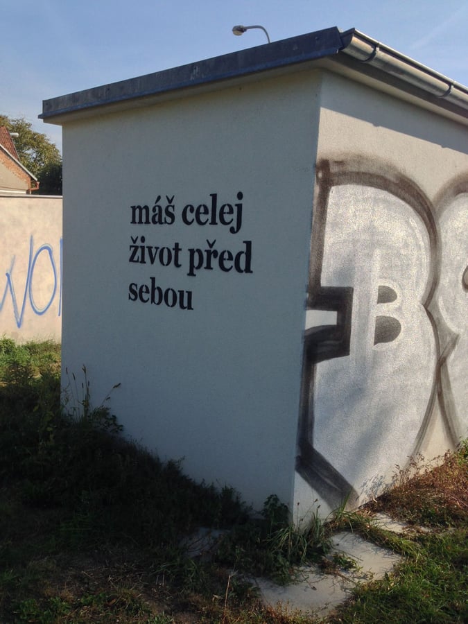 Máš celej život před sebou