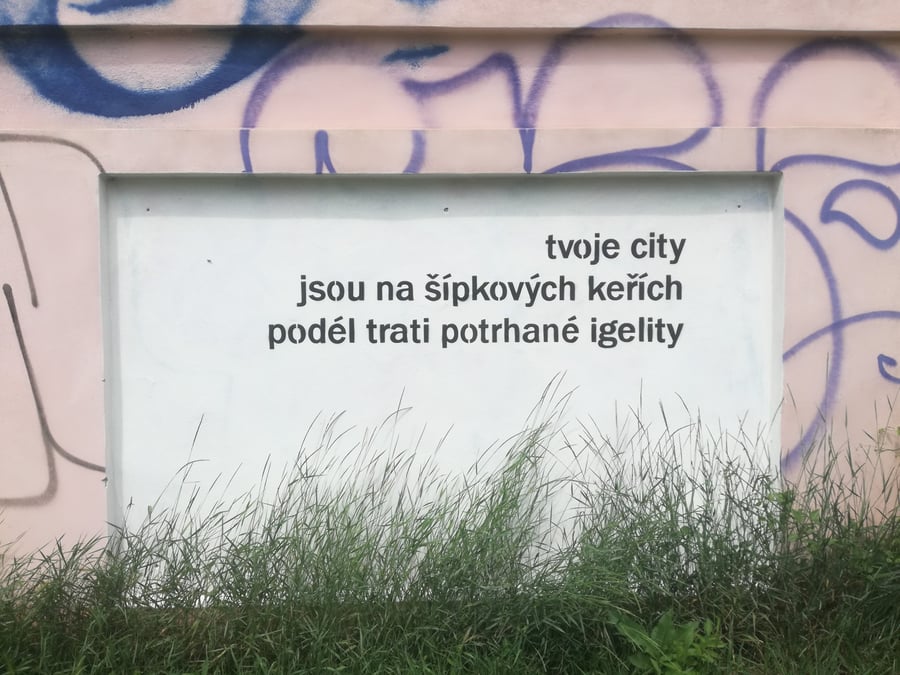 tvoje city