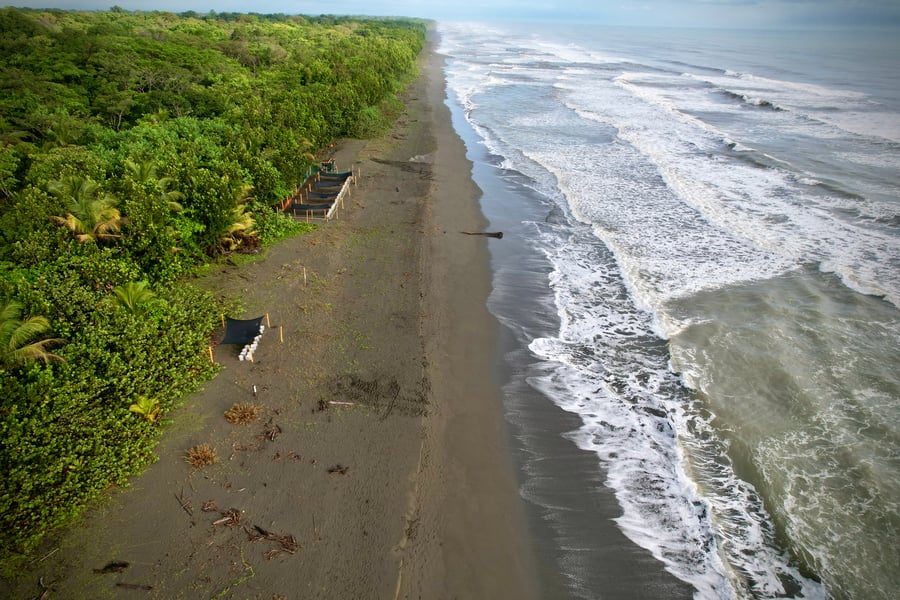Pacuare Reserve