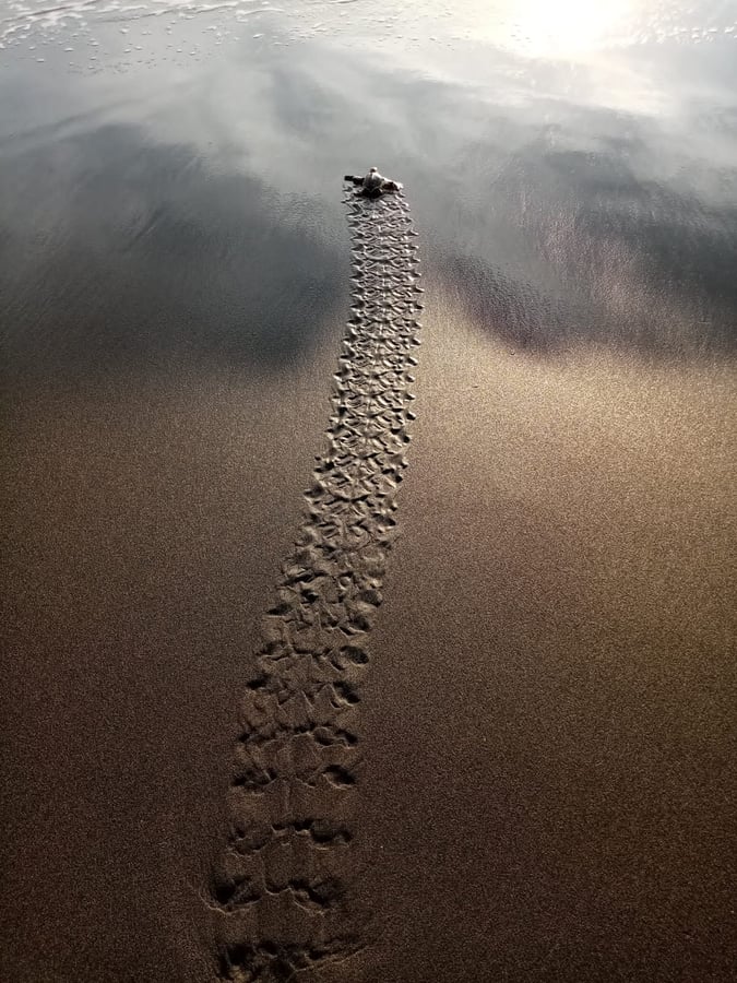 Playa Grande, Cahuita