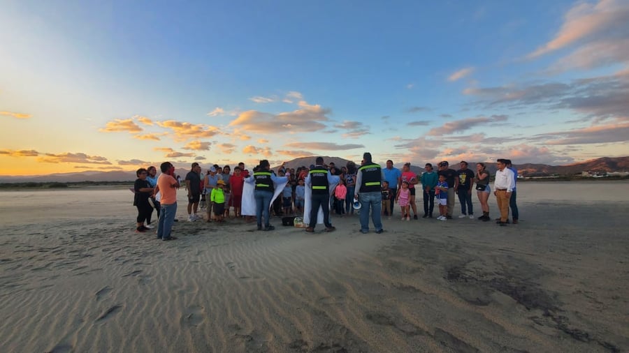 Campamento Tortuguero Aleph